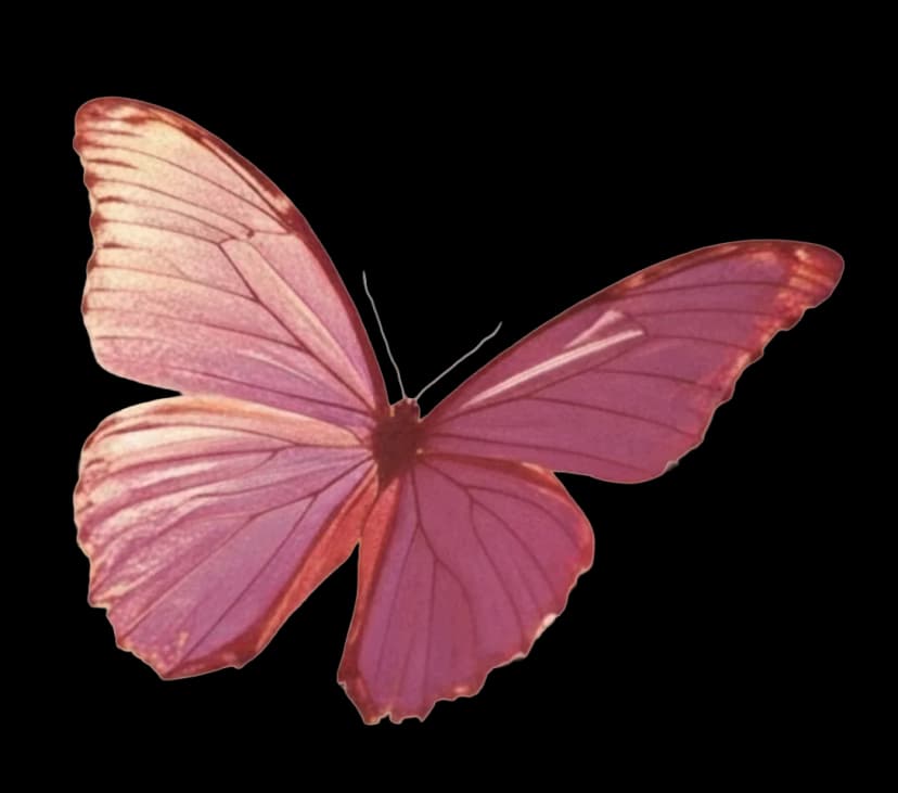 Fly Like a Butterfly